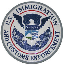 Immigration Bail Bonds Arlington TX